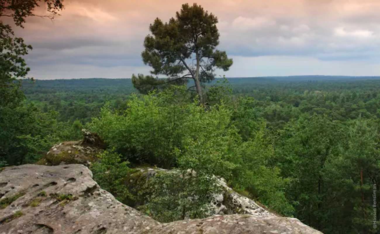 Magnifique vue sur les hauteurs de la forêt de Fontainebleau en Seine-et-Marne pour des photos de couple autour de Paris